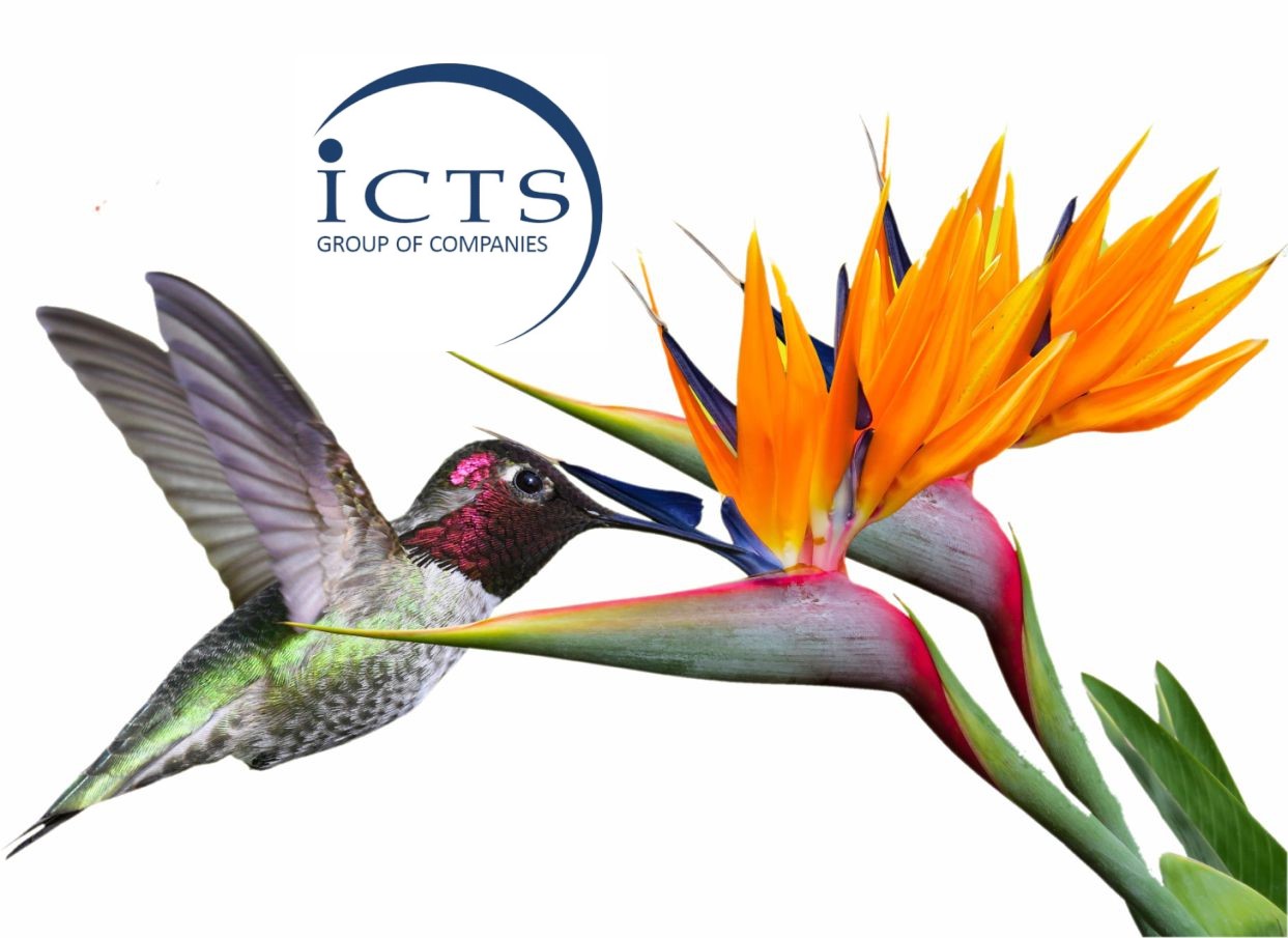 ICTS Image